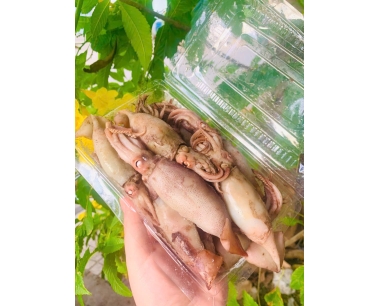 MỰC HẤP
