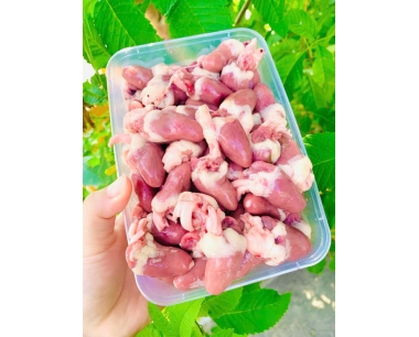 TIM GÀ NET ĐỦ