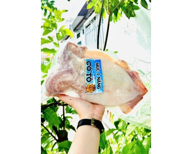 MỰC 1 NẮNG COTO NET 7