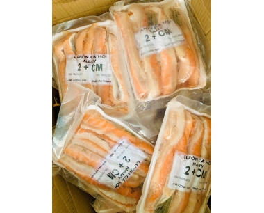 LƯỜN CÁ HỒI NET 8